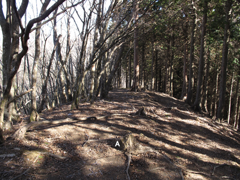 20190121hike (150)